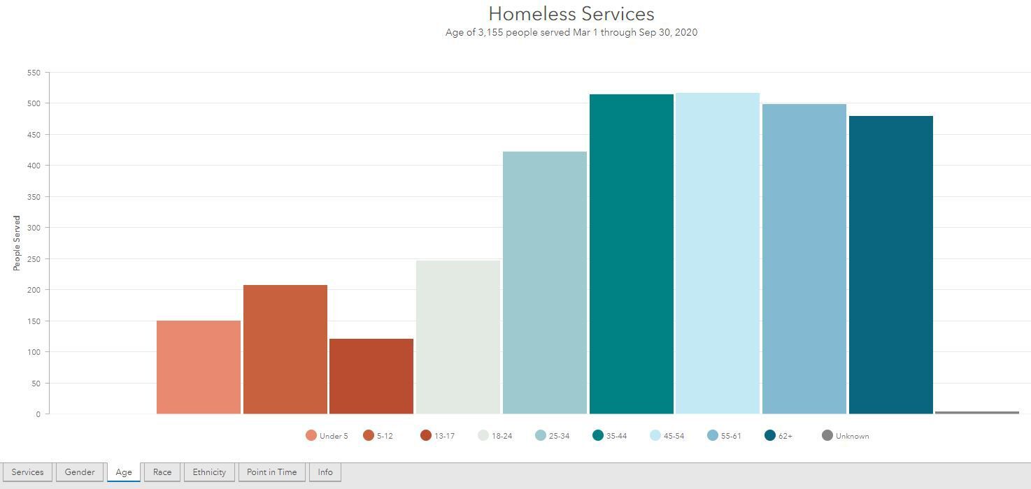 Community Data Dashboard-Community-Homeless-Age